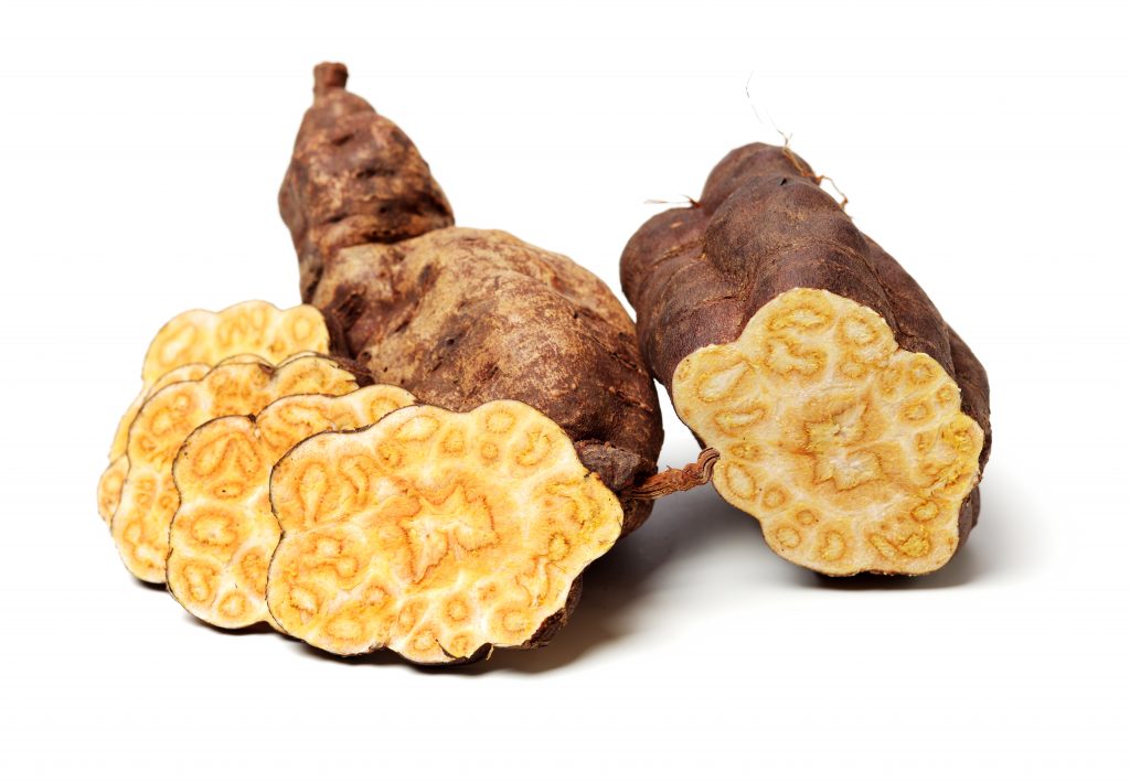 radacina de Polygonum cuspidatum