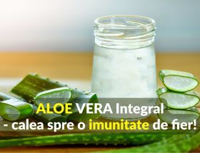 Aloe Vera - calea spre o imunitate de fier