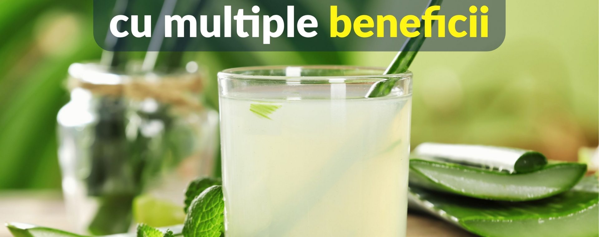 Aloe Vera - planta cu multiple beneficii