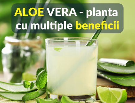 Aloe Vera - planta cu multiple beneficii