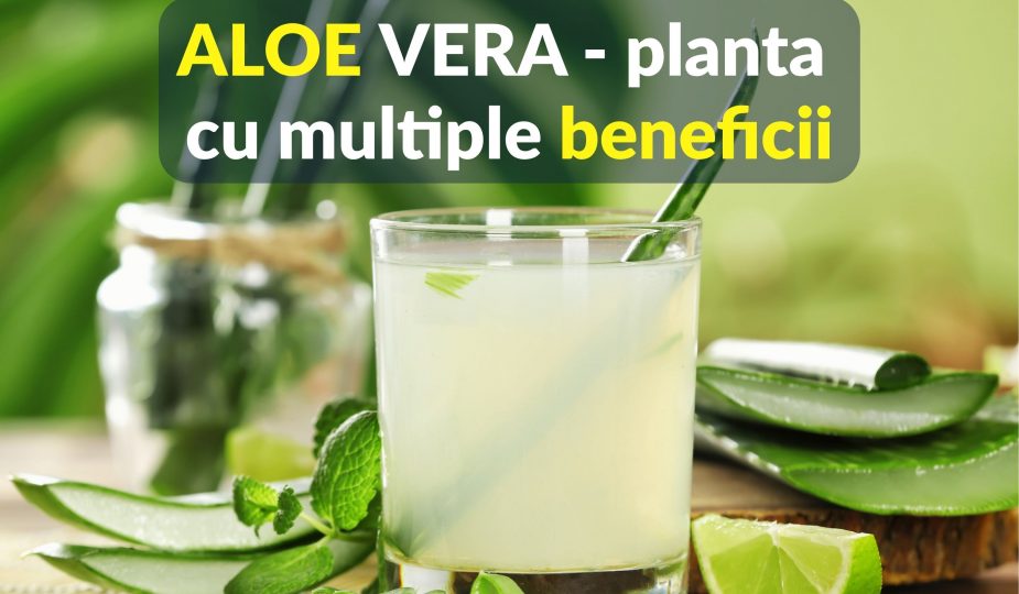 Aloe Vera - planta cu multiple beneficii