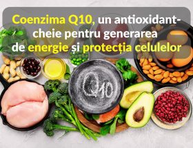 Coenzima Q10