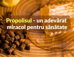 Propolisul, un adevărat miracol pentru sănătate