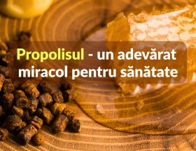 Propolisul, un adevărat miracol pentru sănătate