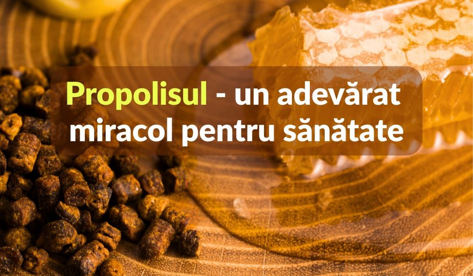 Propolisul, un adevărat miracol pentru sănătate
