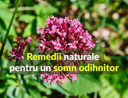 Remedii naturale pentru un somn odihnitor