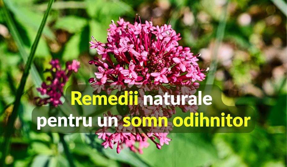 Remedii naturale pentru un somn odihnitor