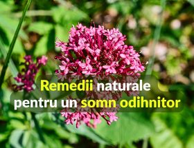Vitamine de care ai nevoie în sezonul rece
