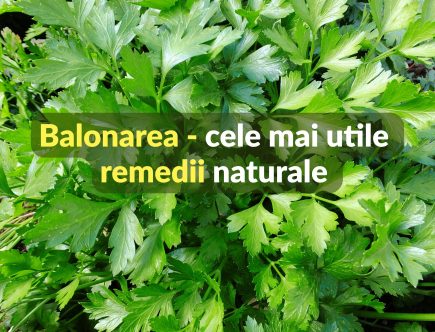 Balonarea - cele mai bune remedii
