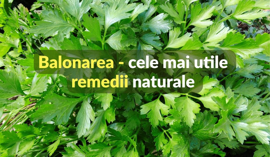 Balonarea - cele mai bune remedii