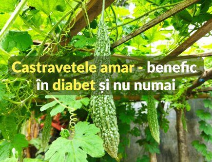 Castravetele amar - benefic in diabet si nu numai