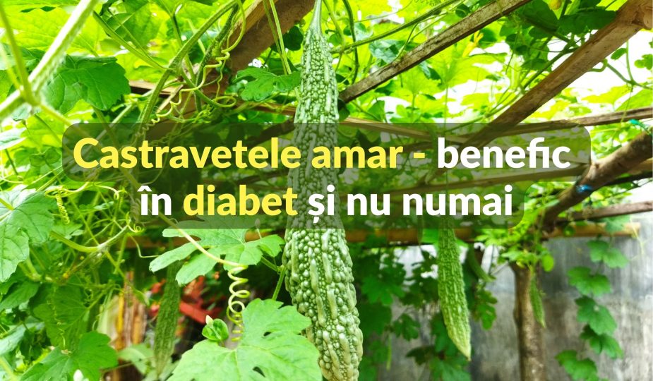 Castravetele amar - benefic in diabet si nu numai