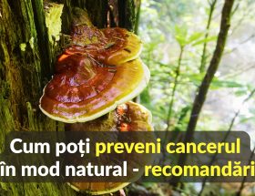 Cum poti preveni cancerul in mod natural - recomandari