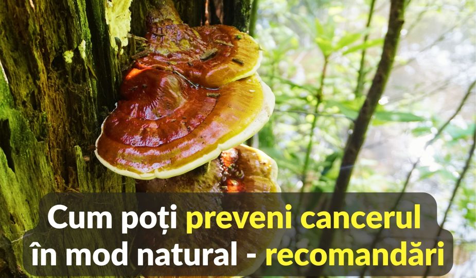 Cum poti preveni cancerul in mod natural - recomandari