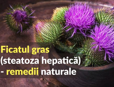 Ficatul gras - remedii naturale