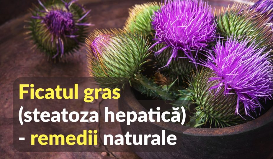 Ficatul gras - remedii naturale