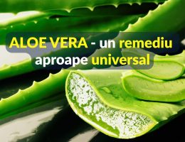 Aloe Vera - un remediu aproape universal