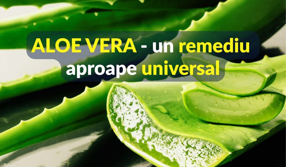 Aloe Vera - un remediu aproape universal