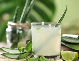 Retete cu aloe vera