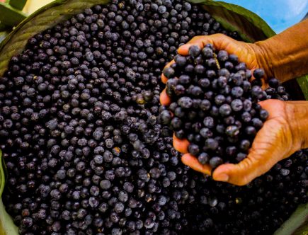 Acai - fructele dotate cu super-puteri pentru îmbunătățirea sănătății