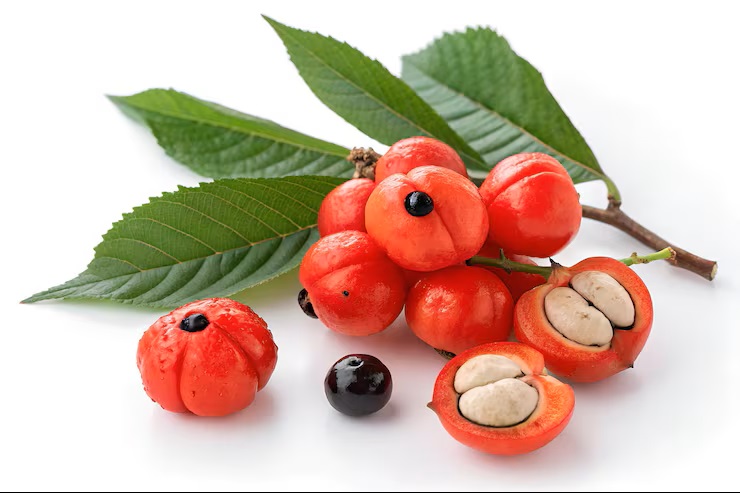 Guarana