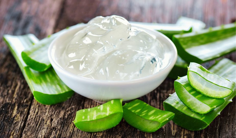 Aloe vera este „mama” stomacului: calmează, cicatrizează, vindecă