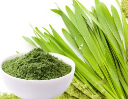 Orzul verde – un miracol al naturii pentru sănătatea omului