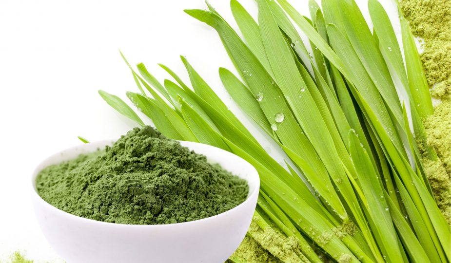 Orzul verde – un miracol al naturii pentru sănătatea omului