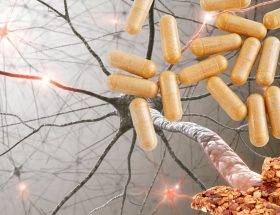 Sistem nervos puternic - puterea vitaminelor B