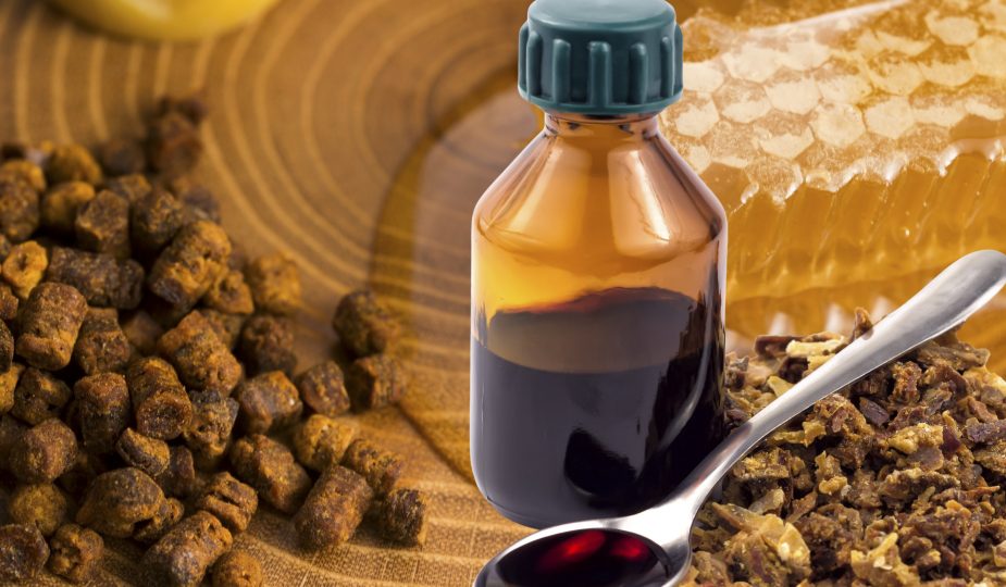 Propolis - antibioticul stupului
