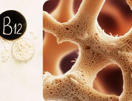 Oasele si vitamina B12