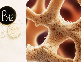 Oasele si vitamina B12